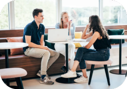 Knowledge sharing & content development