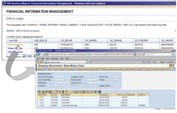 SAP Financial Information Management (SAP FIM)