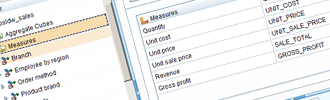 IBM Cognos Dynamic Cubes