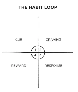 The cue triggers a craving, which motivates a response, which provides a reward, which satisfies the craving and, ultimately, becomes associated with the cue”