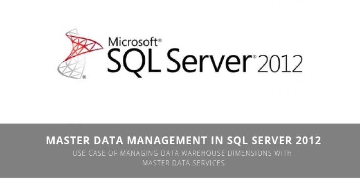 Master Data Management in SQL Server 2012 | element61